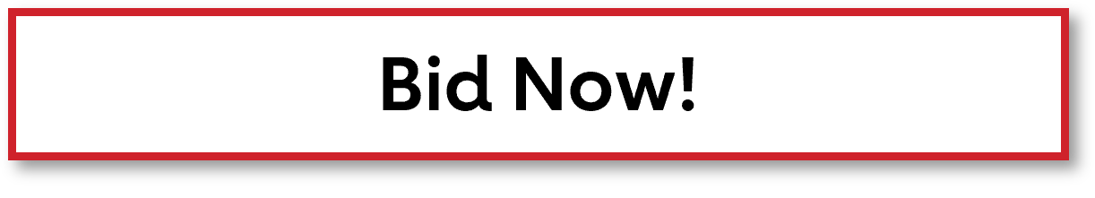 Bid Now Button Bid Now Button